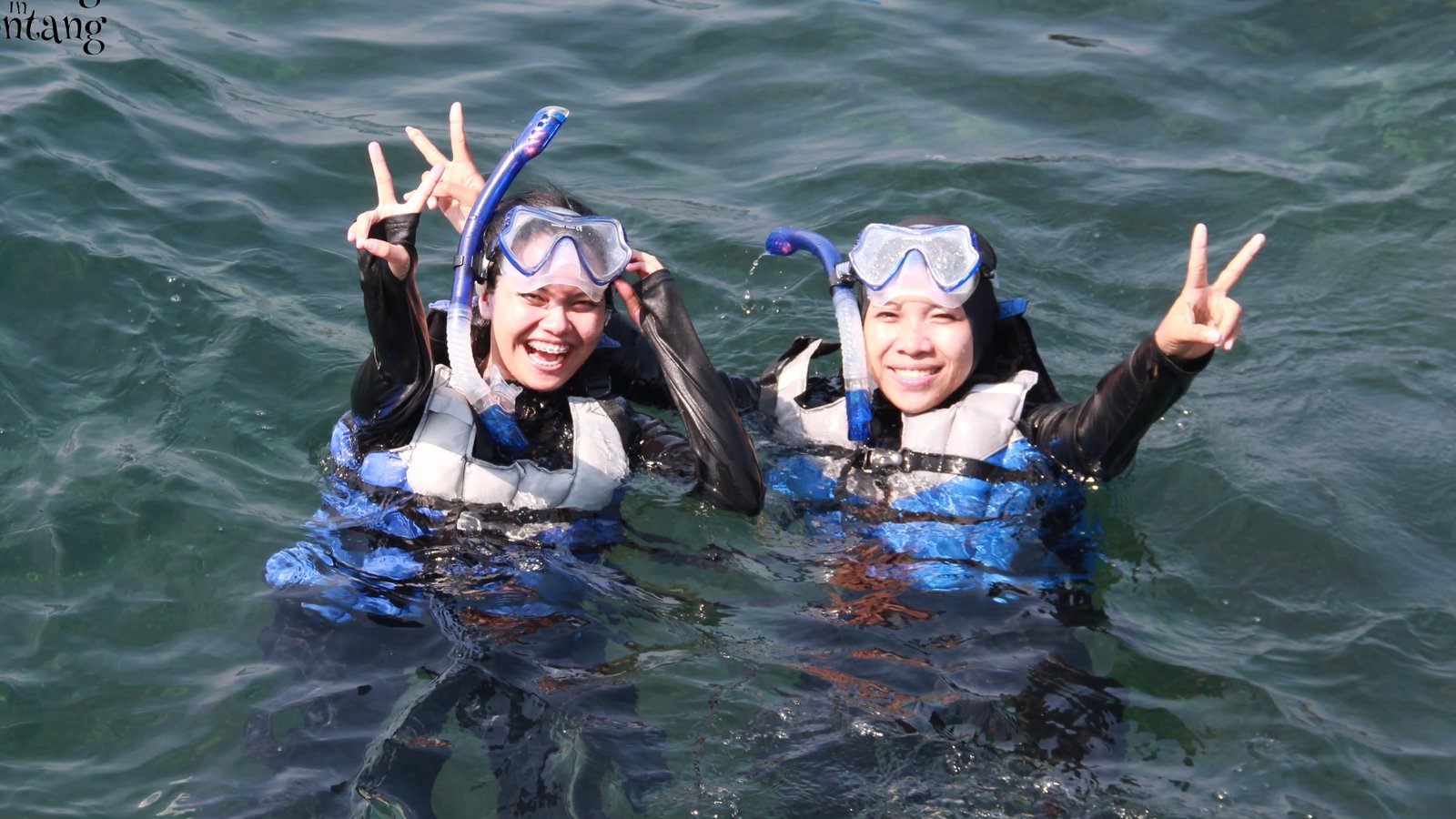 Paket Snorkeling Healing in Bontang: Jelajahi Pulau Beras Basah, Pulau Segajah, dan Pondok Pasilan